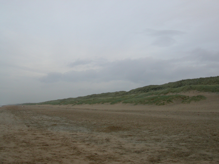 dunes